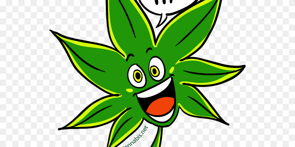 Weed Clipart Weed Clipart, Green, Art, Graphics, Plant Free Transparent Png