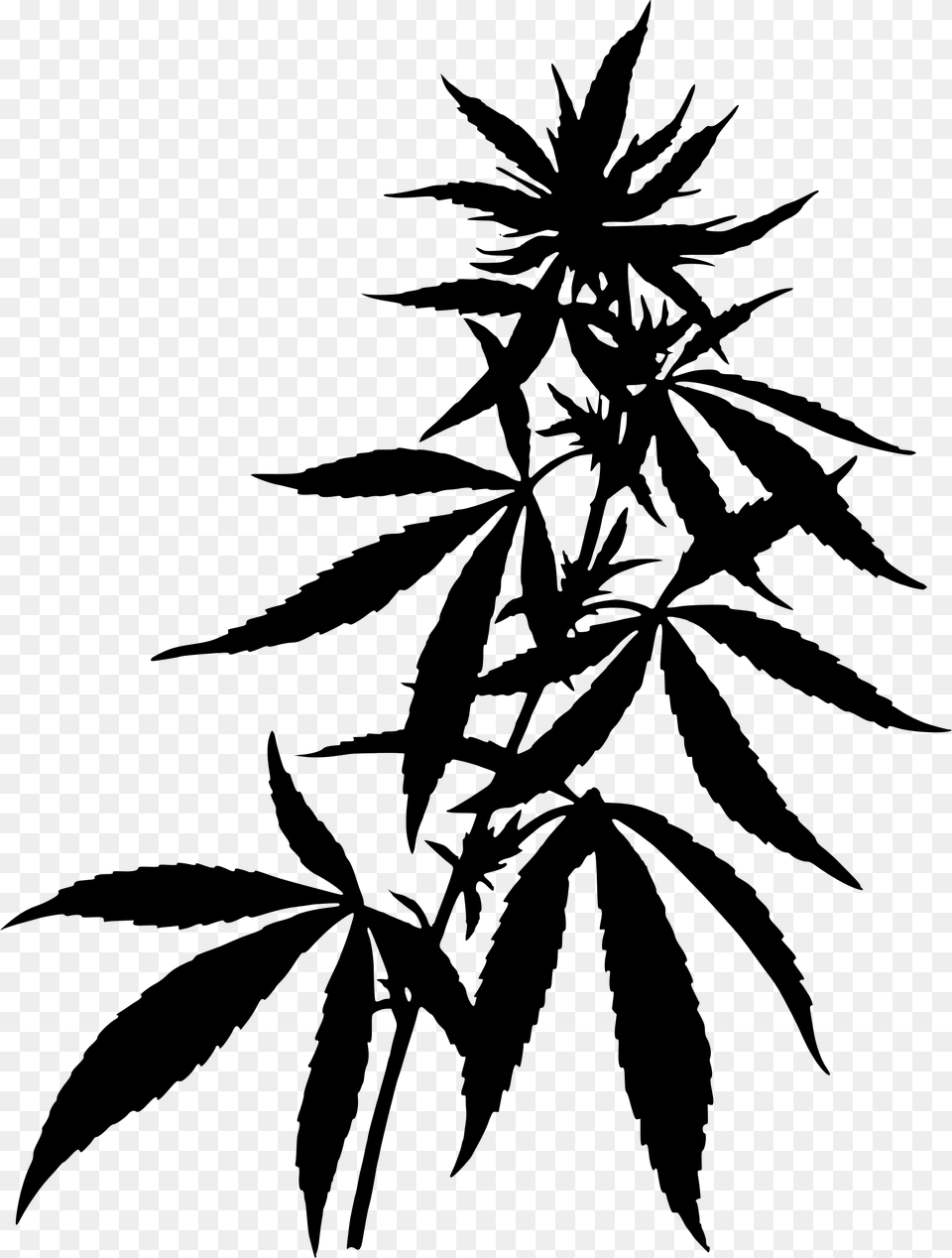 Transparent Weed Joint Clipart Marijuana Plant, Gray Free Png Download