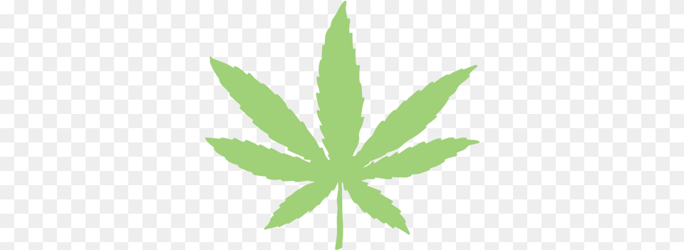 Weed Leaf, Plant, Hemp, Person, Face Free Transparent Png