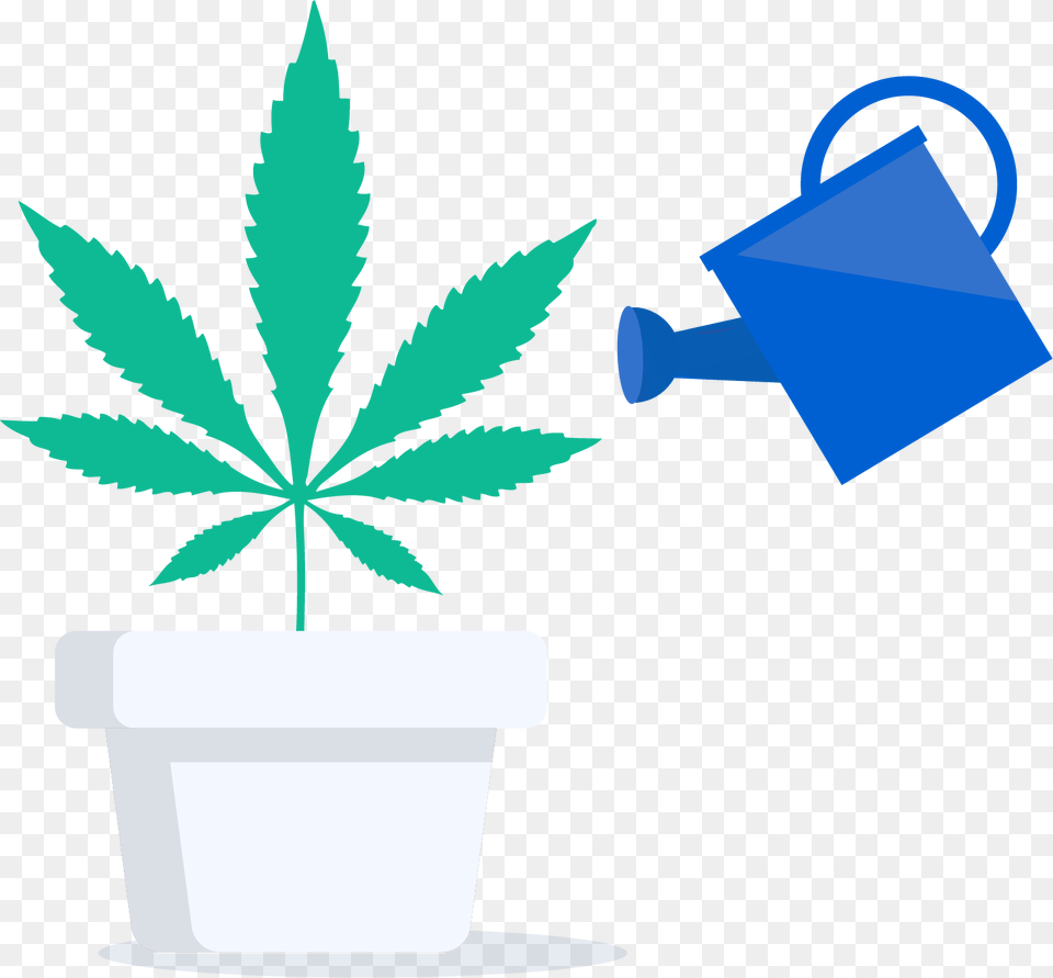 Transparent Weed Symbol Marijuana Leaf, Plant Free Png