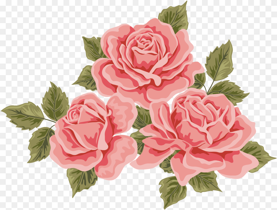 Transparent Welcome Rose Happy Mothers Day Artwork, Flower, Plant, Carnation Free Png Download