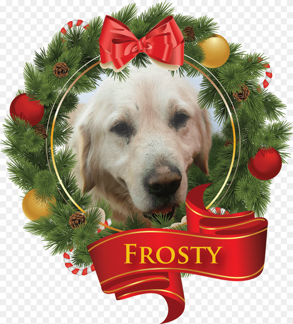 Transparent Wendy S Frosty New Year, Animal, Canine, Dog, Mammal Free Png Download