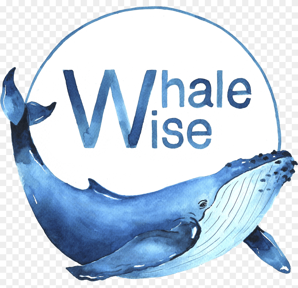 Transparent Whales, Clothing, Costume, Person Free Png