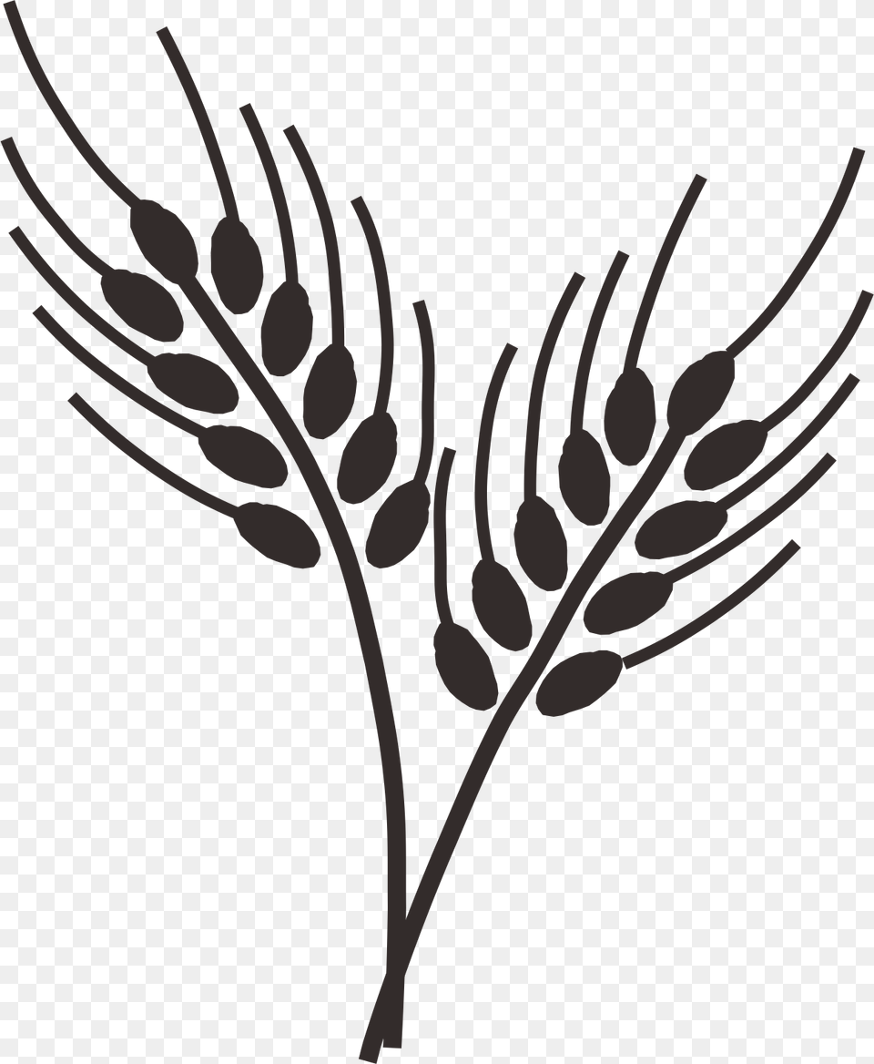 Transparent Wheat Stalks Clipart Wheat Grass Drawing, Stencil, Art, Plant Png Image