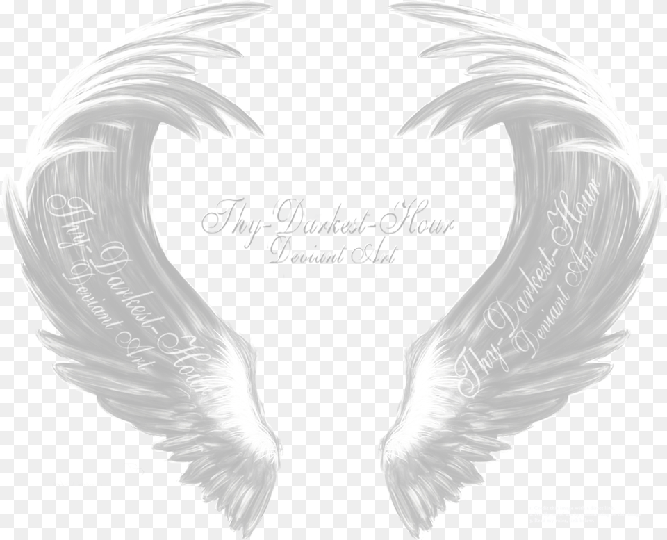 Transparent White Angel Wings Transparent Angel White Wings Png
