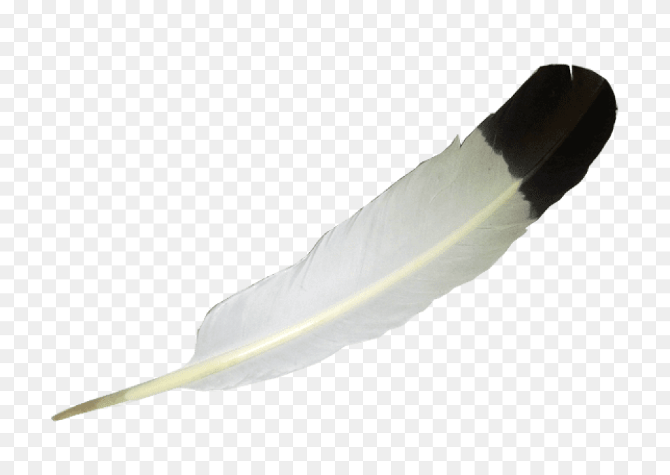 Transparent White Balck Feather, Bottle, Blade, Dagger, Knife Free Png Download