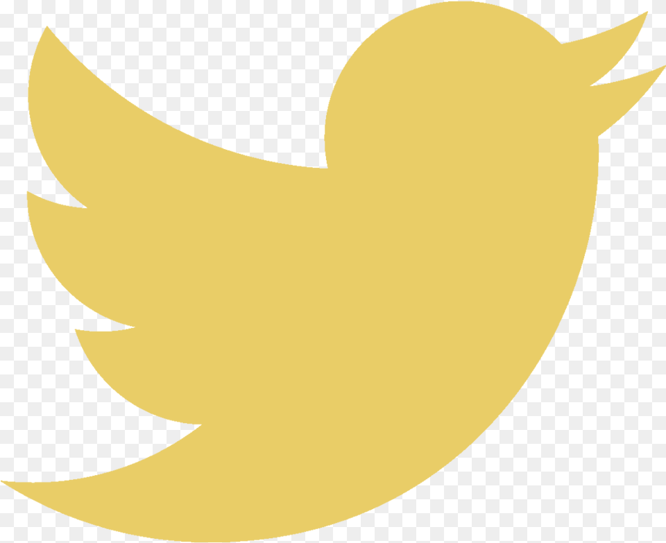 Transparent White Bird Twitter Yellow Twitter Logo, Animal, Fish, Sea Life, Shark Free Png