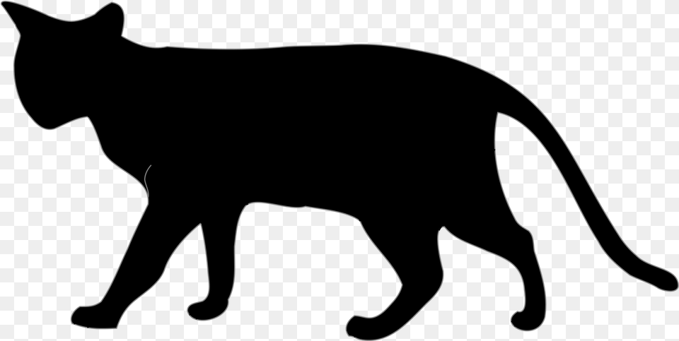 Transparent White Cat Cat Black And White, Silhouette, Animal, Mammal, Pet Png