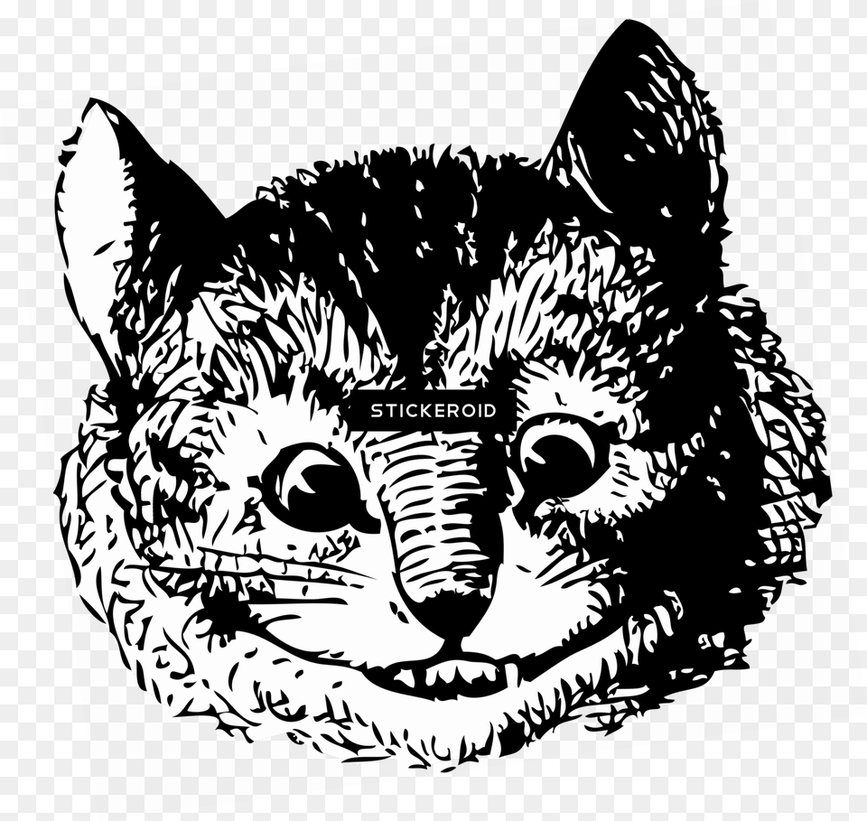 White Cat Original Alice In Wonderland Cheshire Cat, Art, Stencil, Drawing, Baby Free Transparent Png