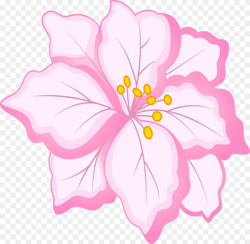 Transparent White Flower White Floral Clipart, Plant, Petal, Hibiscus Free Png