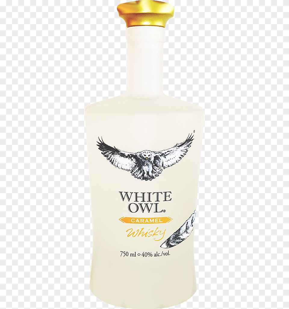 Transparent White Owl Hawk, Bottle, Animal, Bird Png Image