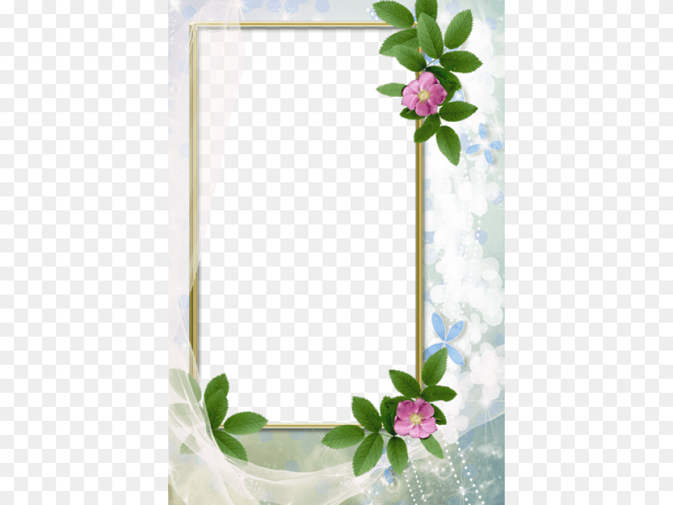 Transparent White Photo Frame With Flowers Onemimi39s Closet Gorgeous Necklace And Earring Set, Plant, Flower, Geranium, Petal Free Png