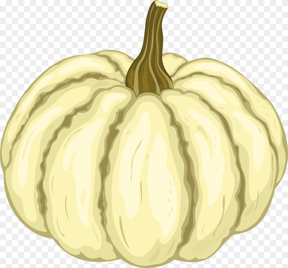 Transparent White Pumpkin Clipart Gourd, Food, Plant, Produce, Vegetable Free Png
