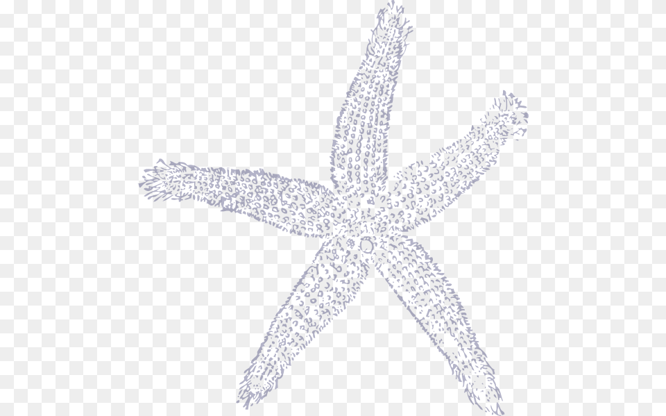White Starfish Fish Clip Art, Animal, Sea Life, Invertebrate Free Transparent Png
