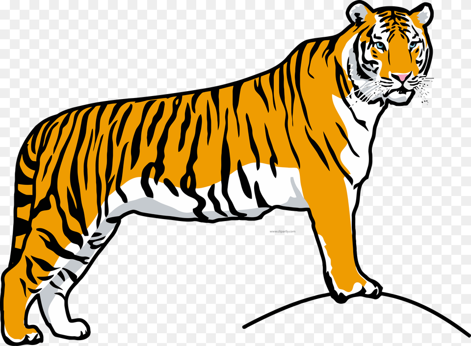 Transparent White Tiger Clipart Animals Images For Colouring, Animal, Mammal, Wildlife, Zebra Png Image