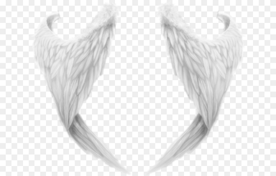 White Wing, Accessories, Animal, Bird, Angel Free Transparent Png