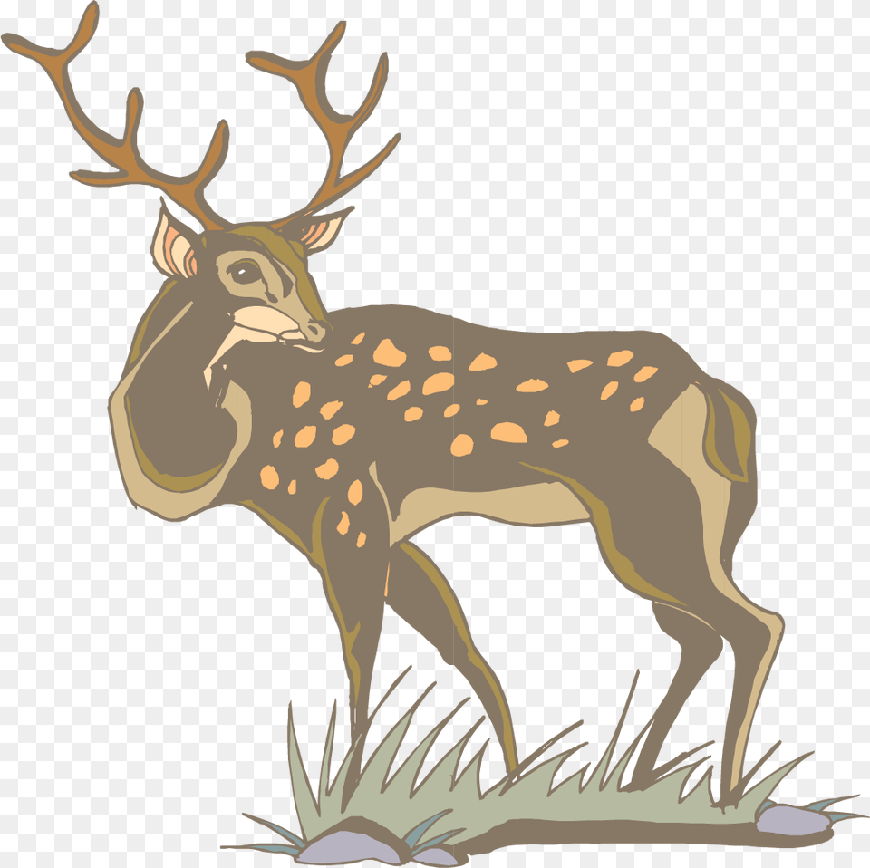 Transparent Whitetail Deer White Tailed Deer Clipart Gif, Animal, Elk, Mammal, Wildlife Png Image