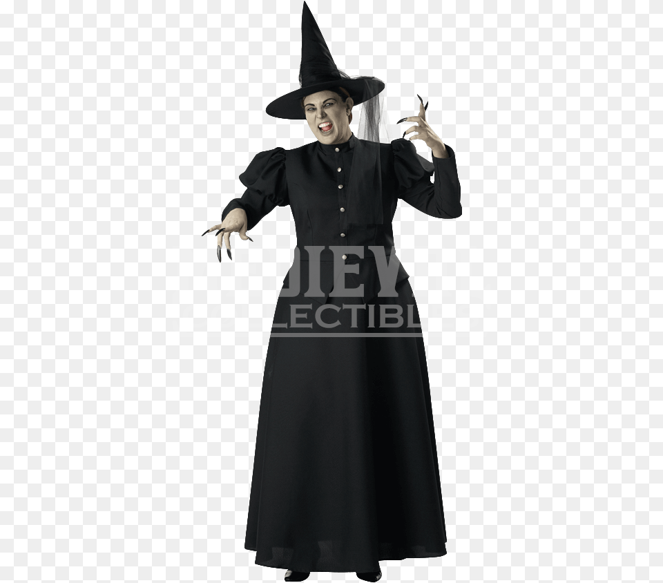 Transparent Wicked Witch Witch Costume, Adult, Person, Woman, Female Free Png