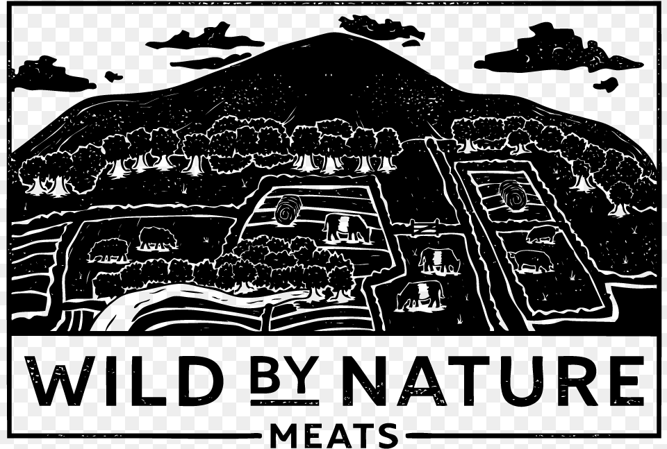 Transparent Wild Grass Illustration, Gray Png Image
