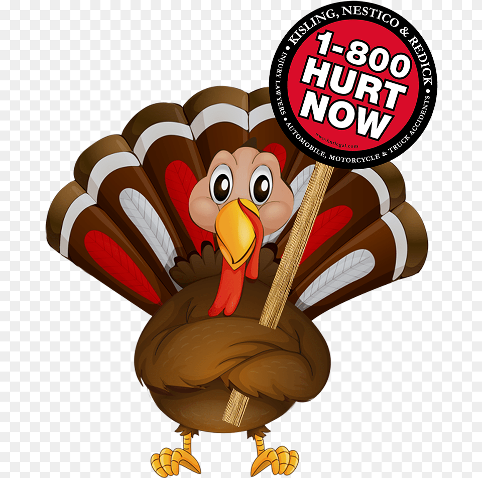 Wild Turkey Thanksgiving Image No Background, Animal, Beak, Bird Free Transparent Png