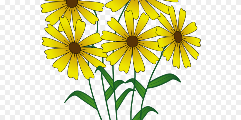 Transparent Wildflower Clipart Viver Bem Uns Com Os Outros, Daisy, Flower, Plant, Petal Free Png