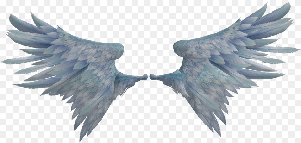 Wings Realistic, Animal, Bird, Vulture, Flying Free Transparent Png
