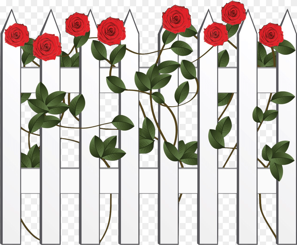 Transparent Witness Clipart Garden Roses, Fence, Nature, Outdoors, Picket Png