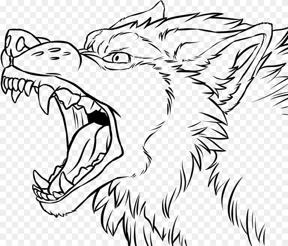 Transparent Wolf Face Clipart Wolf Snarling Side View Drawing, Gray Png