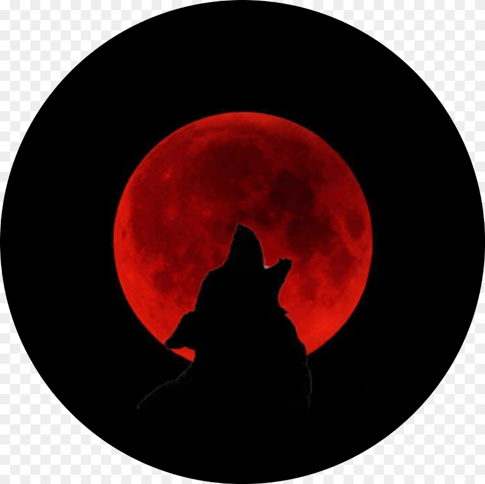 Transparent Wolf Howling Clipart Parco Naturale Regionale Del Beigua, Astronomy, Moon, Nature, Night Png Image