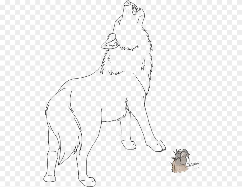 Transparent Wolf Howling Line Art, People, Person Png