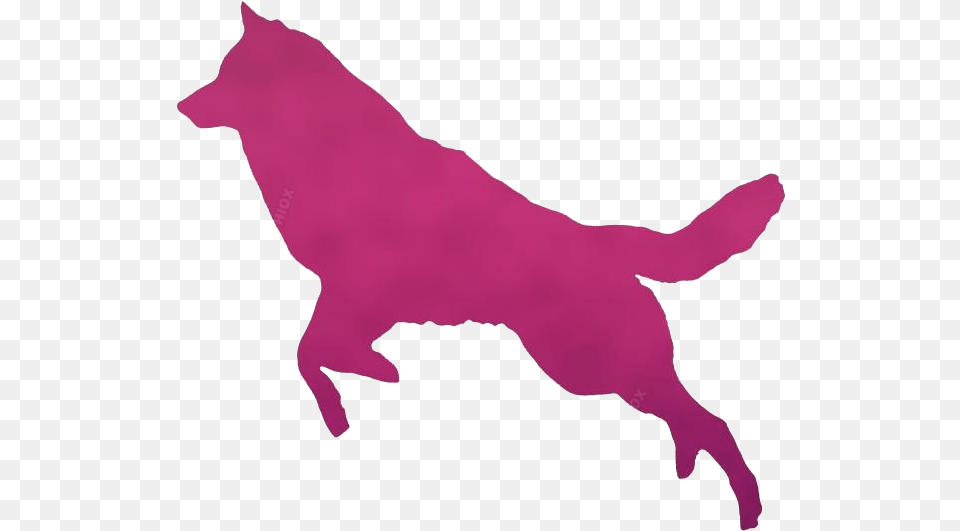 Transparent Wolf Jumping Silhouette Clip Art Ancient Dog Breeds, Animal, Coyote, Mammal, Baby Png