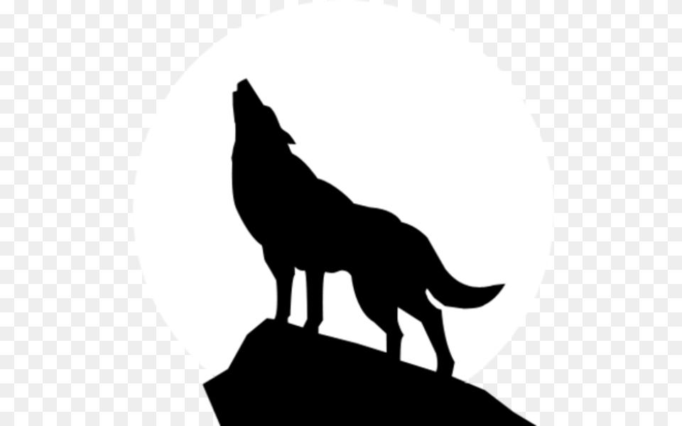 Transparent Wolf Outline Wolf Howling Silhouette Transparent, Animal, Coyote, Mammal, Antelope Png