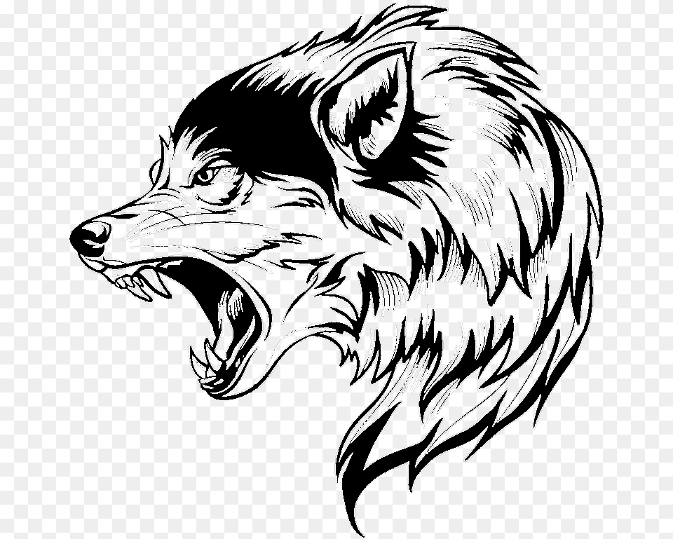 Transparent Wolf Vector, Person, Art, Drawing Png