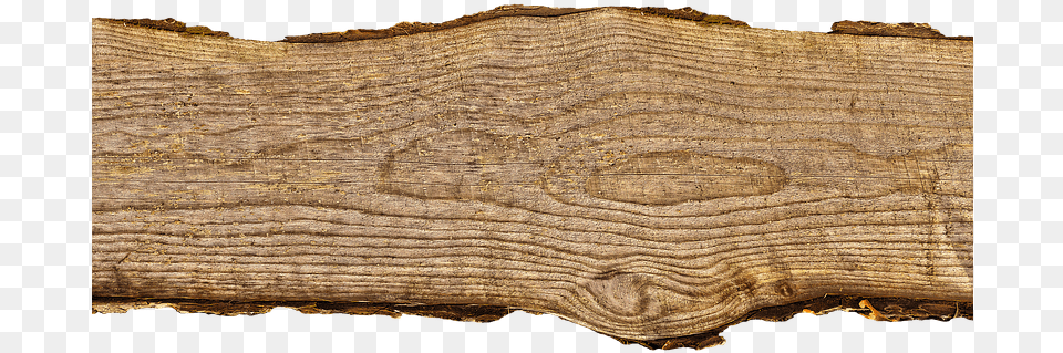 Transparent Wood Board, Lumber, Plant, Tree, Tree Trunk Free Png Download