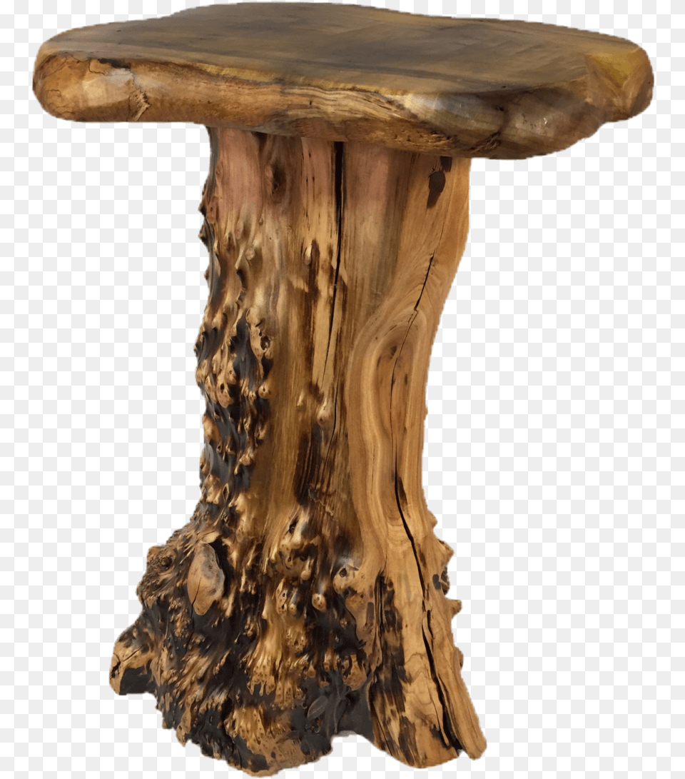 Transparent Wooden Stool Wooden Stool, Plant, Tree, Tree Trunk, Fungus Png Image