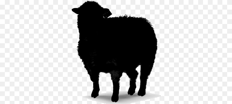 Wool Sheep Icon Pngimages Sheep, Silhouette, Animal, Livestock, Mammal Free Transparent Png