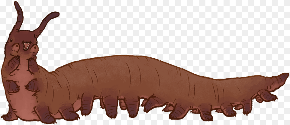 Transparent Worms Giant Onychophora, Cartoon, Person, Face, Head Png