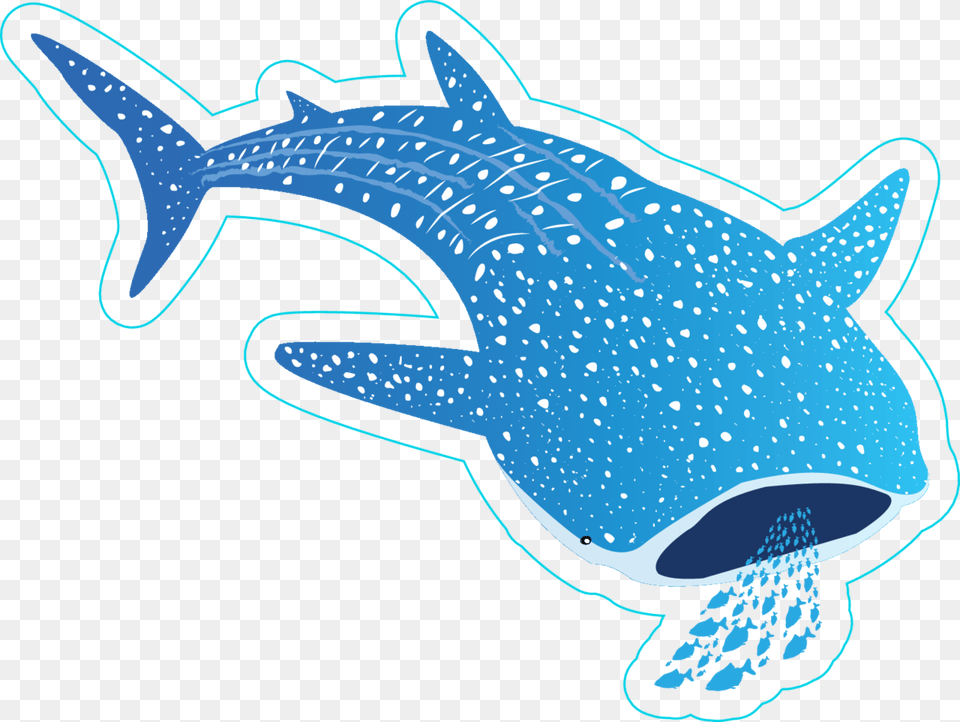 Transparent X Ray Fish Clipart Cartoon Whale Shark Clipart, Animal, Mammal, Sea Life Png Image