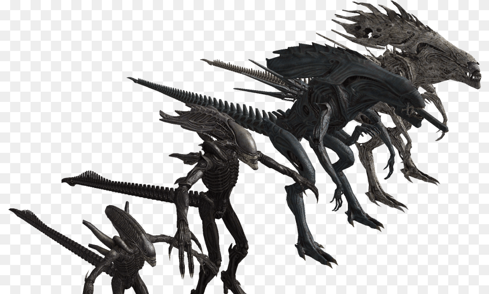 Xenomorph Alien King Vs Alien Queen, Animal, Dinosaur, Reptile Free Transparent Png