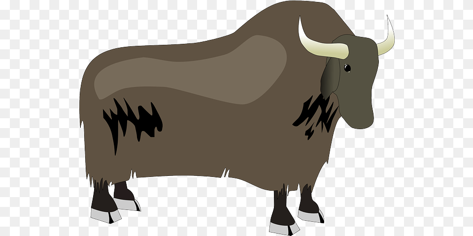Transparent Yak Animal Yak Vector, Bull, Mammal, Cattle, Livestock Png Image