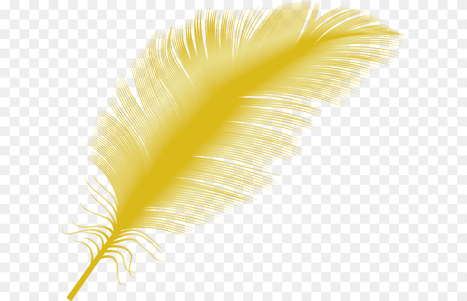 Transparent Yellow Feather Bird Gold Feather, Plant, Reed, Person, Accessories Png Image