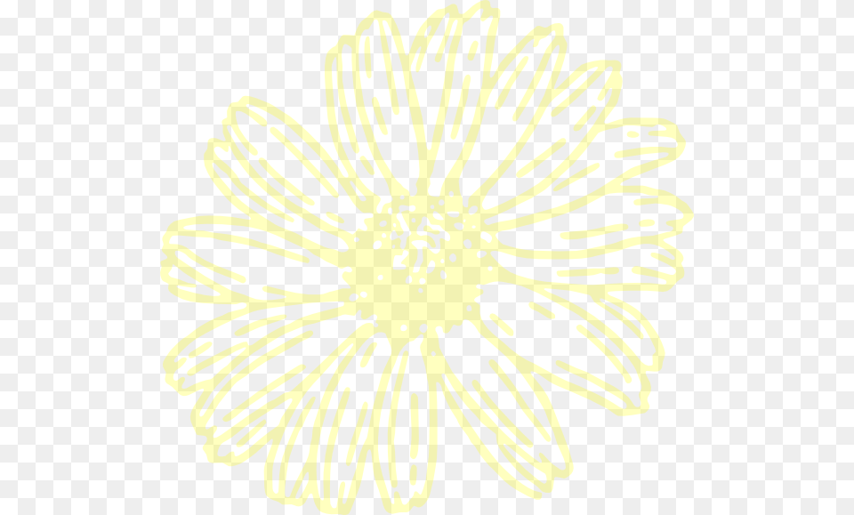 Transparent Yellow Flower Clipart, Daisy, Petal, Plant, Anther Free Png Download