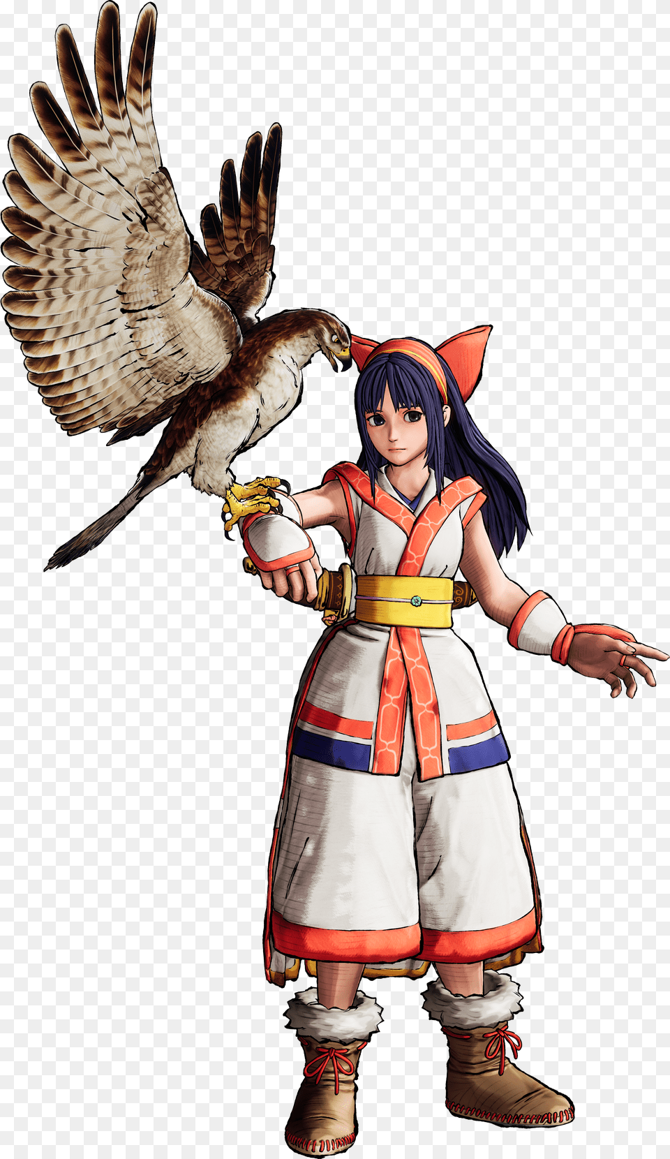 Transparent Yoshimitsu Nakoruru Samurai Shodown 2019, License Plate, Transportation, Vehicle, Text Free Png Download