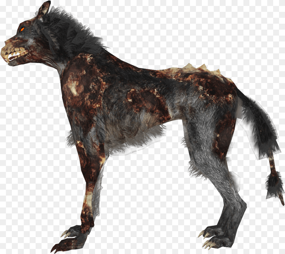 Transparent Zombie Dog Zombie Dog, Animal, Mammal, Wolf, Antelope Free Png