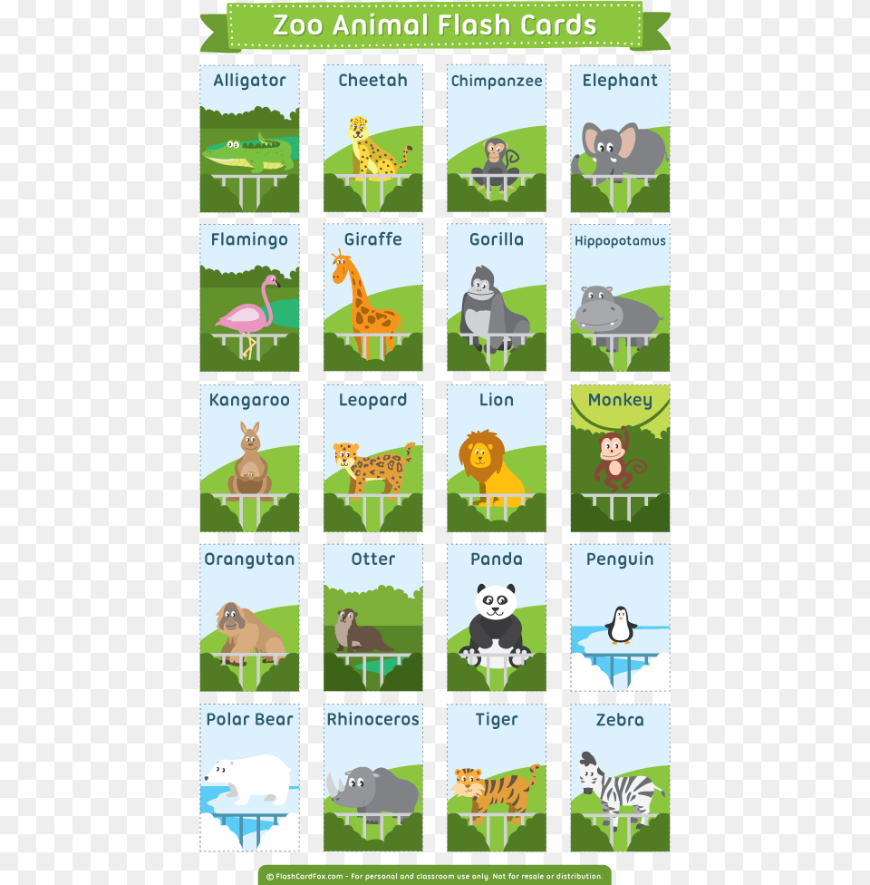 Zoo Animals Zoo Animal Flashcards Printable, Mammal, Wildlife, Bear, Bird Free Transparent Png