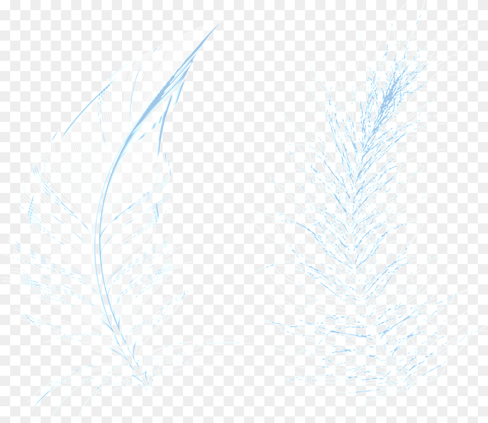 Transparente De Plantas Azuis Sketch, Ice, Leaf, Plant, Weather Free Png Download