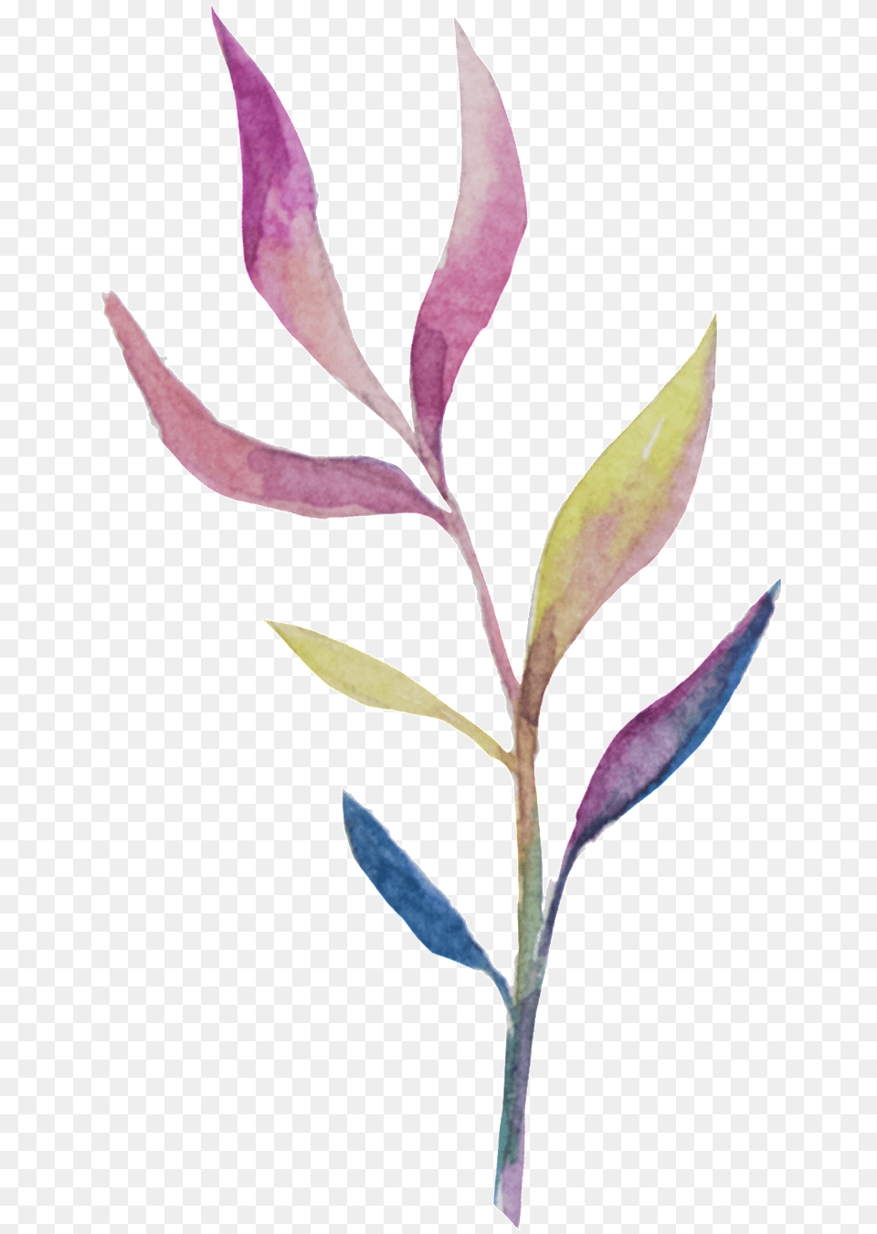 Transparente De Ramas Y Hojas Ornamentales Para Purple, Leaf, Plant, Herbs, Herbal Png Image