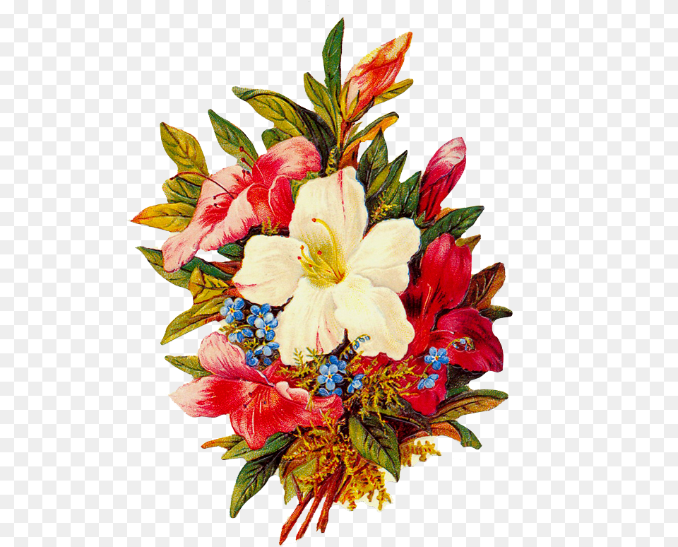 Transparente Flores Formato, Flower, Flower Arrangement, Flower Bouquet, Pattern Free Transparent Png