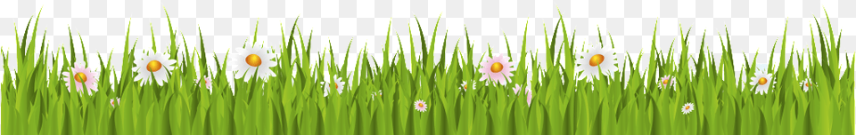 Transparente Para Floral Ornamental Grass Cartoon Grass White Background, Green, Lawn, Plant, Flower Free Png