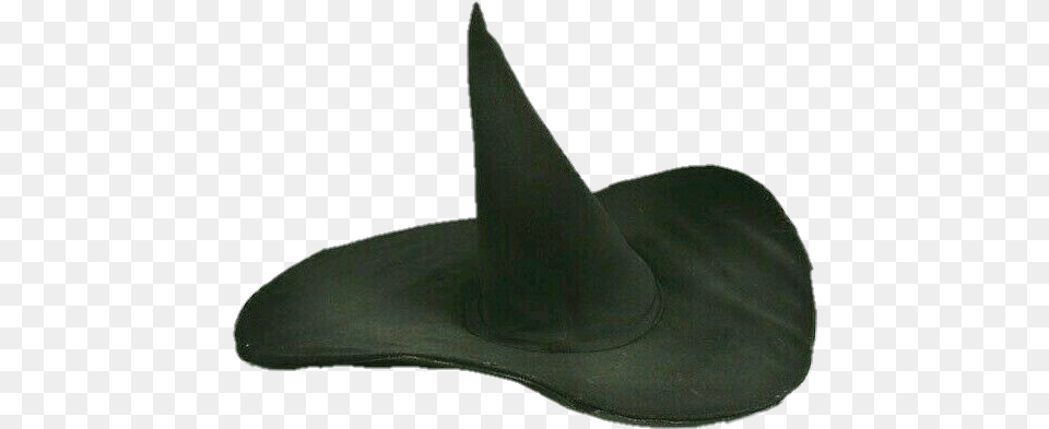 Transparenthalloween Pnghalloweenwitch Pngwitch Electric Ray, Clothing, Hat Png